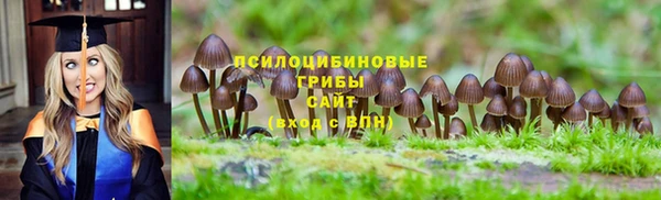дмт Алексин