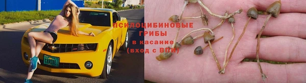 прущая мука Медногорск
