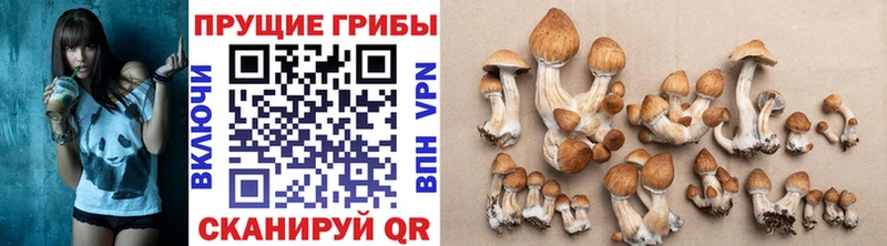 Галлюциногенные грибы ЛСД  Чаплыгин 